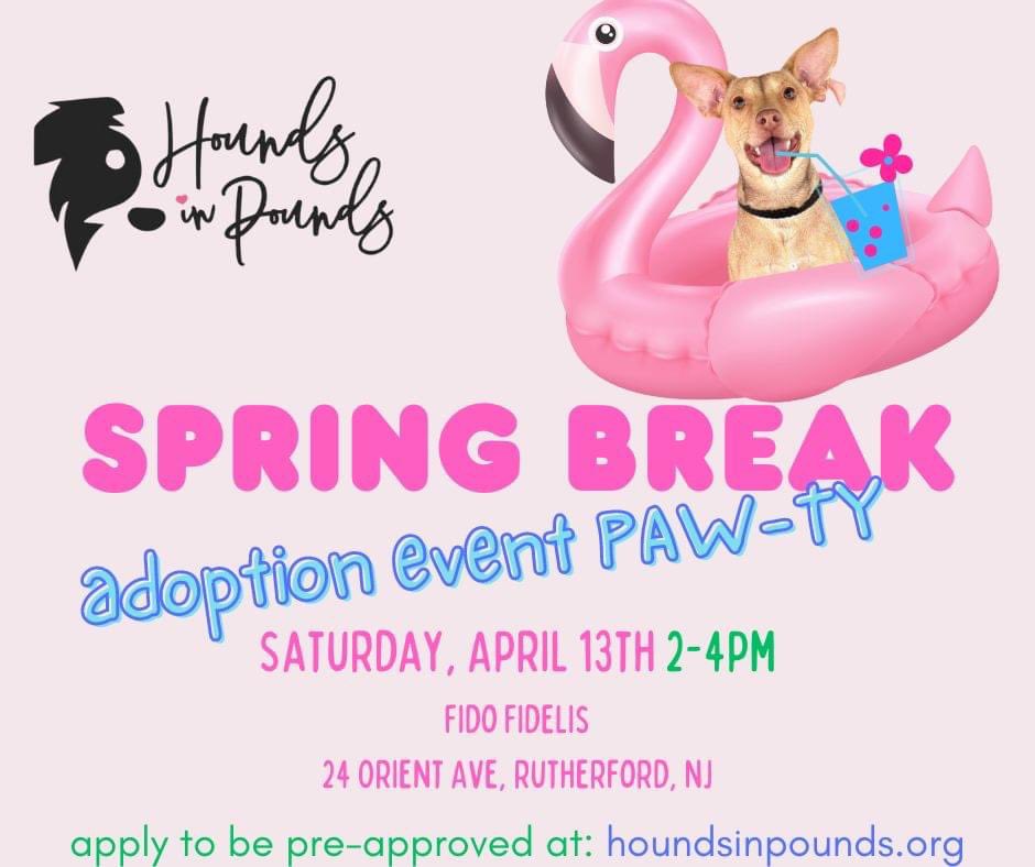 THIS WEEKEND! Come meet our pups! 🍾🐕‍🦺 RSVP here 👇to get updates on event attendees. fb.me/e/1xce5bnna