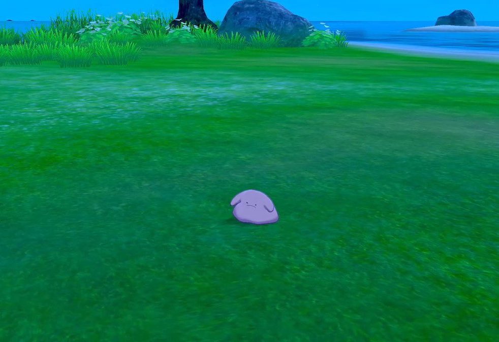 PokemonGems's tweet photo. sad ditto https://t.co/9apo9qjHeC