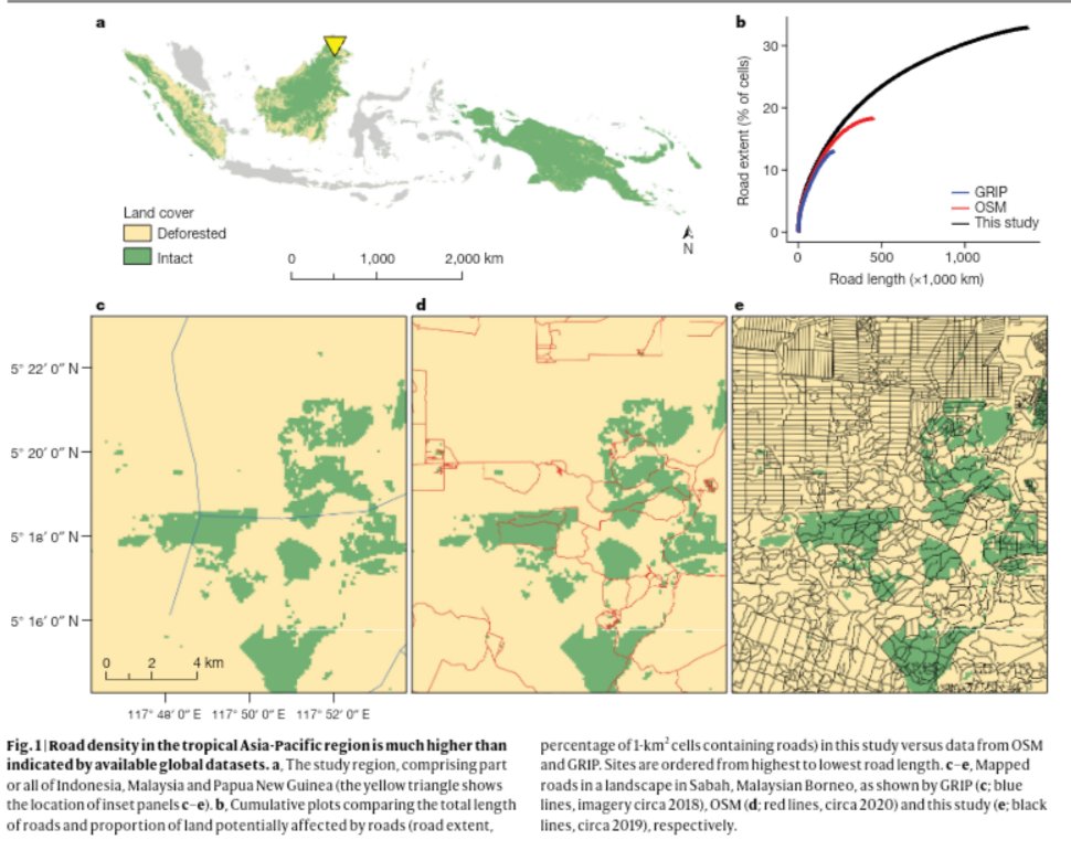 There are heaps of unmapped roads across tropical forest biomes. Not having accurate road maps impacts our understanding of the spatial patterns of deforestation and undermines conservation decision-making. Free to read (ask me for pdf if needed) rdcu.be/dEmgF
