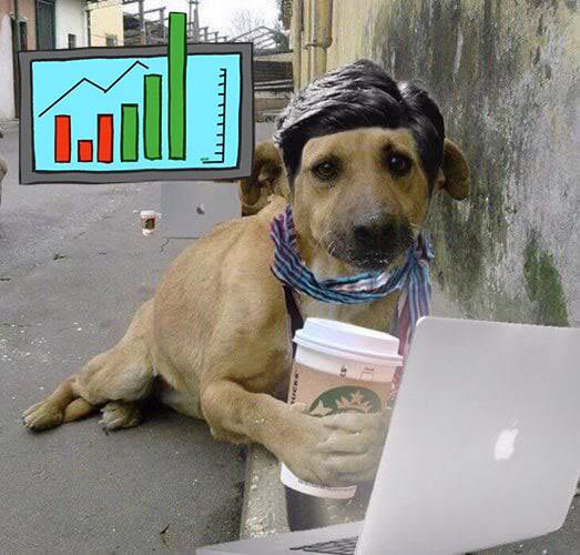 GemFactory tweet media