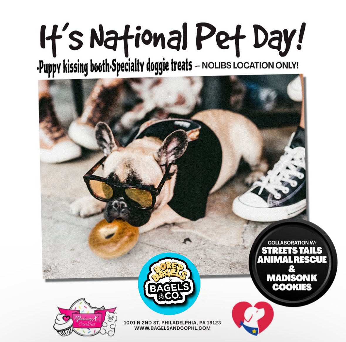 Happy National Pet Day! Doggos deserve treats too 🥯🫶 come celebrate at our Nolibs Philly location