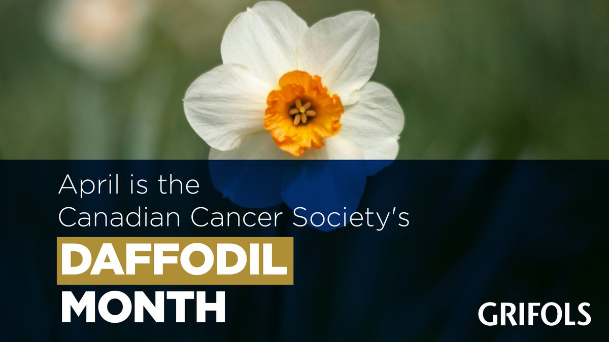 🌼 Grifols proudly supports The Canadian @cancersociety #DaffodilMonth, offering hope to those with low-survival cancers in Canada. Your #plasma donation makes a significant impact, supporting patients through cancer treatment & organ transplants: giveplasma.ca