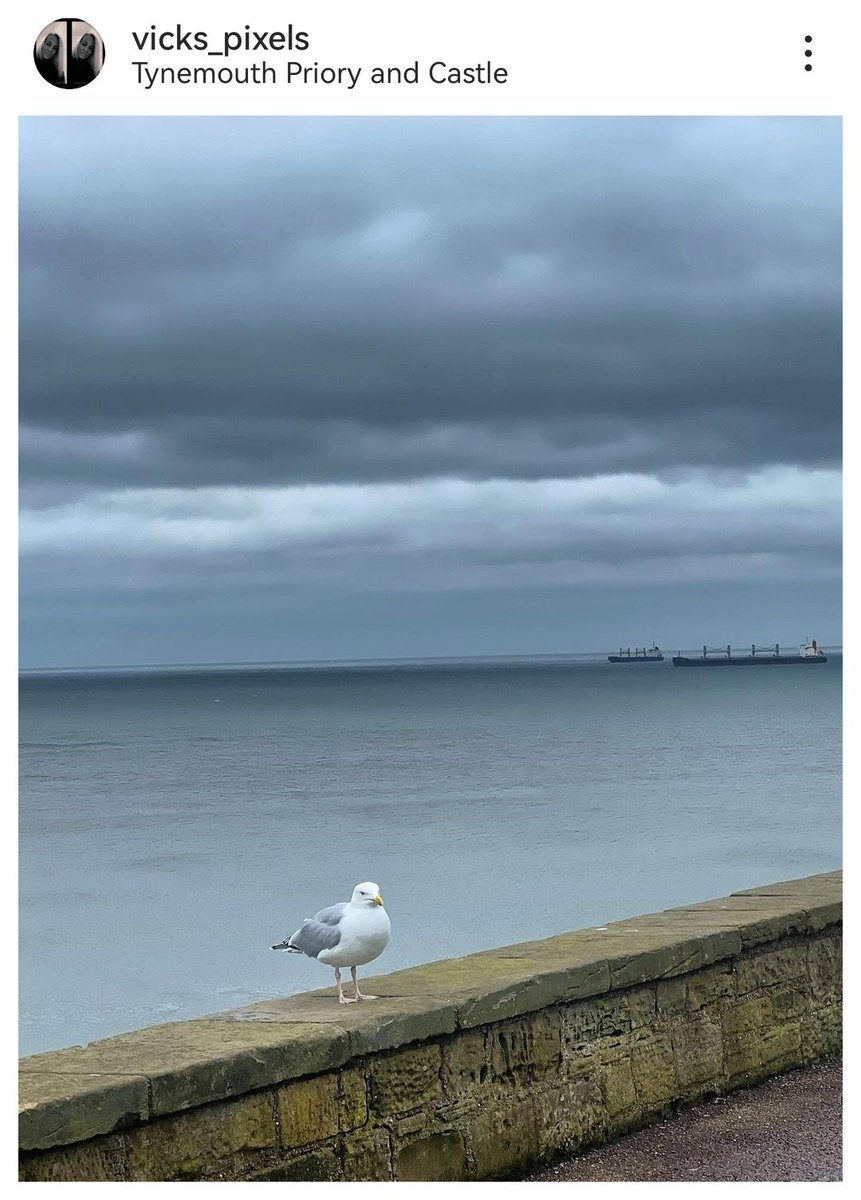 How was your day?

📍 Tynemouth