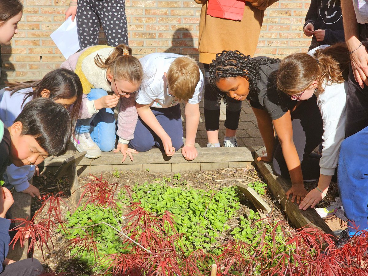 Charlie Phillips tweet media