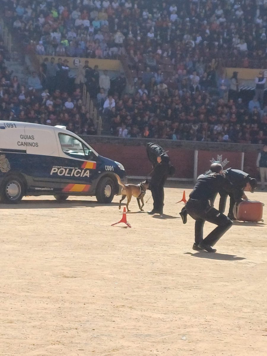 AnaLpezLsll's tweet photo. Ha sido una experiencia increíble presenciar la exhibición de los medios de @policia en la Plaza de Toros.

Más de 7.000 escolares se han sumado a la celebración, un acto que refleja el compromiso y la dedicación de nuestra fuerza policial con la comunidad. https://t.co/zsux7qWiwd