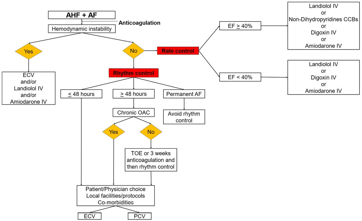 🔴 The Optimal Management of Patients with Atrial Fibrillation and Acute Heart Failure in the ED #OpenAccess #2023Review 

mdpi.com/1648-9144/59/1…
 #CardioEd #Cardiology #FOAMed #meded #MedEd #Cardiology #CardioTwitter #cardiotwitter #cardiotwiteros #CardioEd #MedTwitter