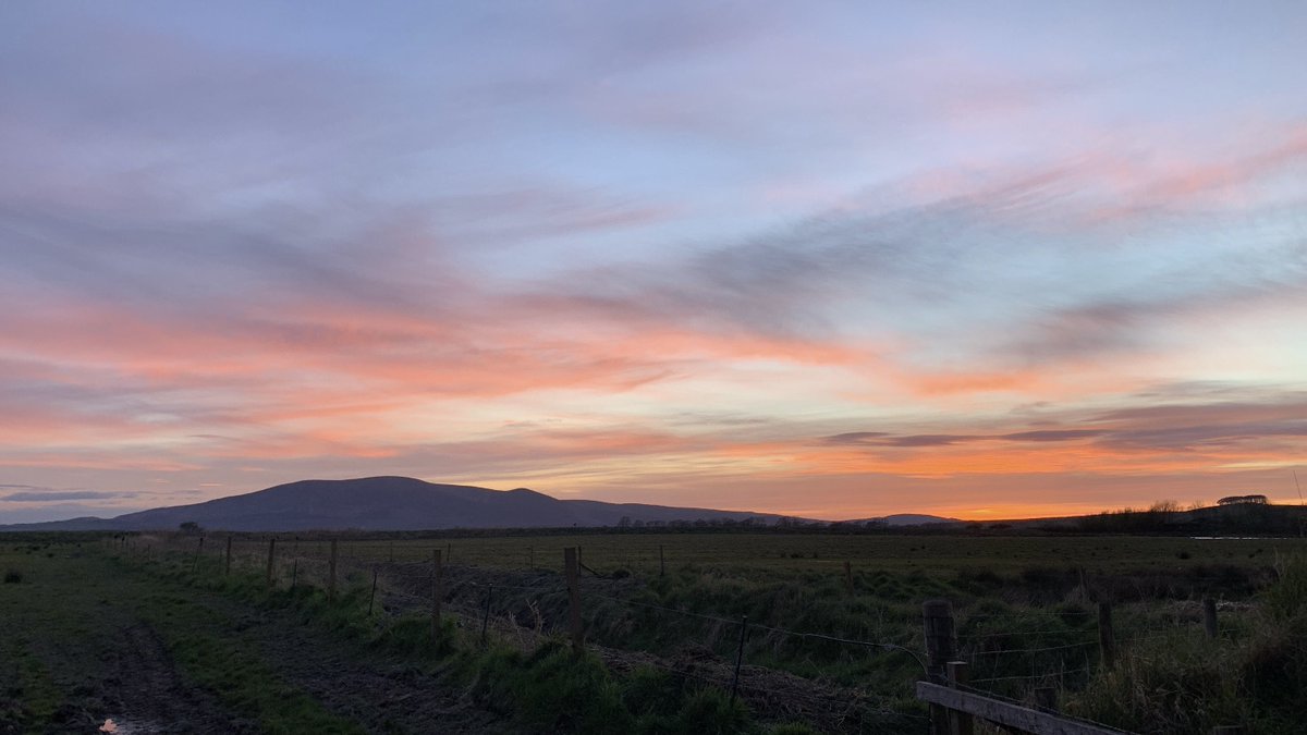 We spent Easter weekend saying goodbye to our lovely geese! Read Meg's blog to find out what we got up to 👉 ow.ly/MQzy50Raf9y 📸 Megan Grisewood-Foley #NewBlog #NatureBlog #BarnacleGeese #Sunset #Spring