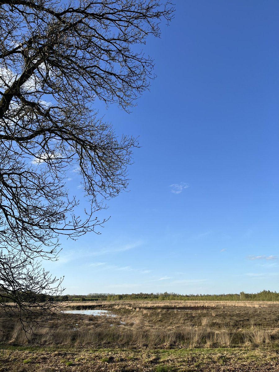 Wandelen in de achtertuin