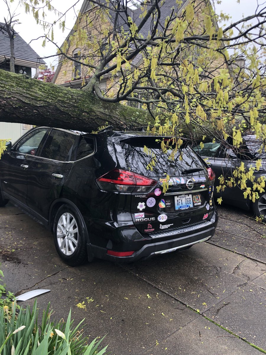 Tree fell on my car today. I love my Rogue 😢