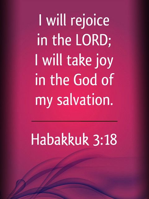 #Habakkuk3:18

If ever, as we pass through this wilderness, we feel one drop of solid joy, of true happiness, it must flow, it can flow only from one source—the manifestation of Christ to our souls. This joy may be very transient—we may have to look upon it through a vista of