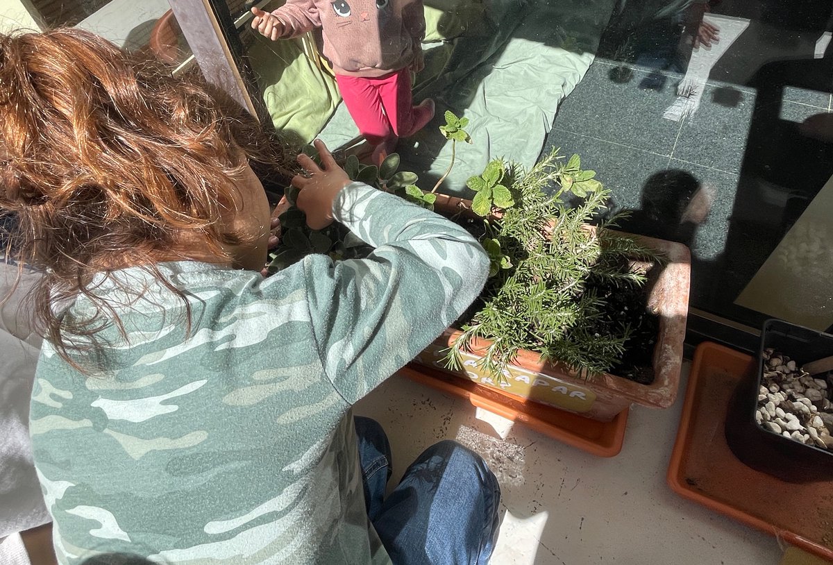 arenaldellevant's tweet photo. Aquest matí la classe dels Minerals hem sortit a observar els canvis que s'estan produint durant la primavera en les plantes 🌿 i els arbres 🌳 del pati. Aprofitant el bon temps que feia ☀️, hem escollit aquell que més ens agradaven i hem fet uns dibuixos fantàstics!🎨 https://t.co/dbygYJhEis