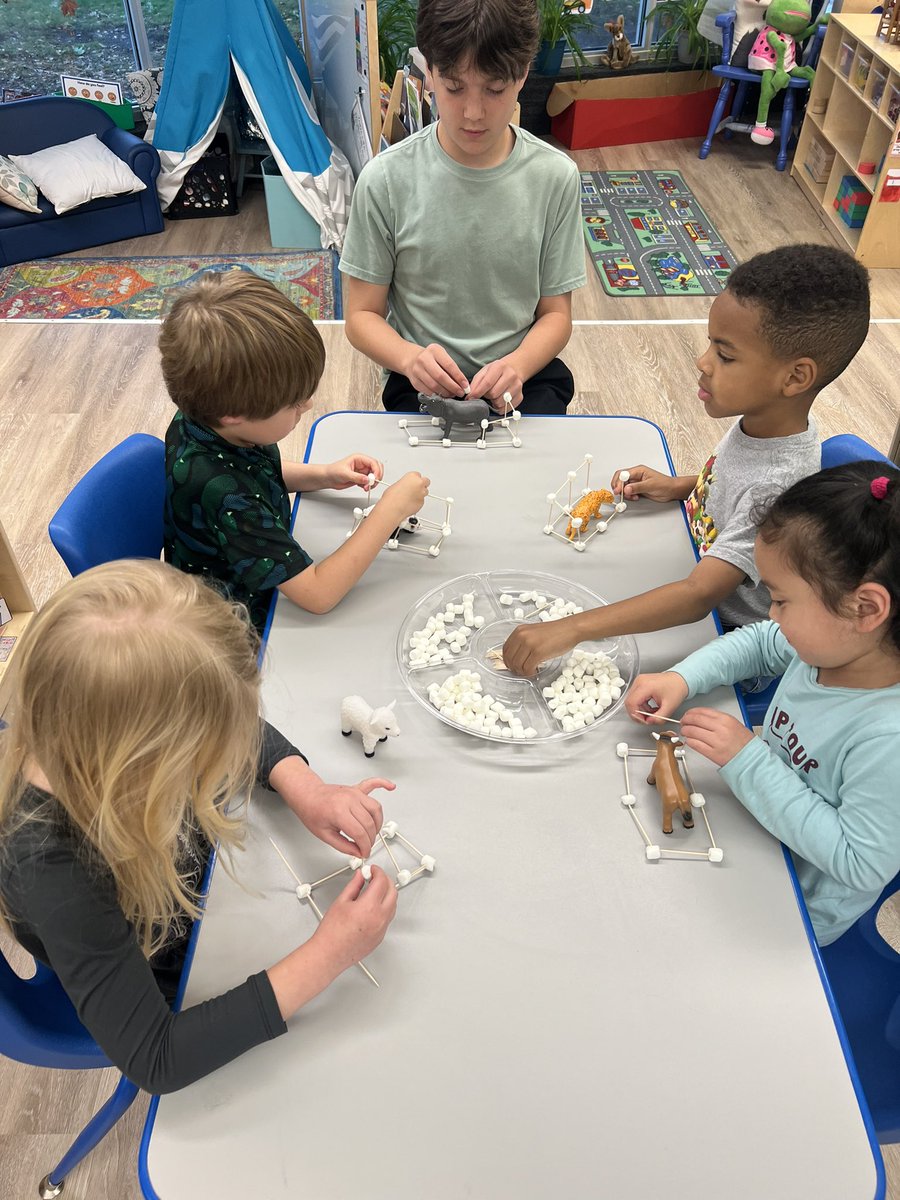 JessSmith373's tweet image. It’s Work Together Wednesday in Pre-K! My class worked together to build animal homes with marshmallows and toothpicks! #STEMprek #WOYC24 #RISDprekWOYC #RISDprek @DmeElemRisd