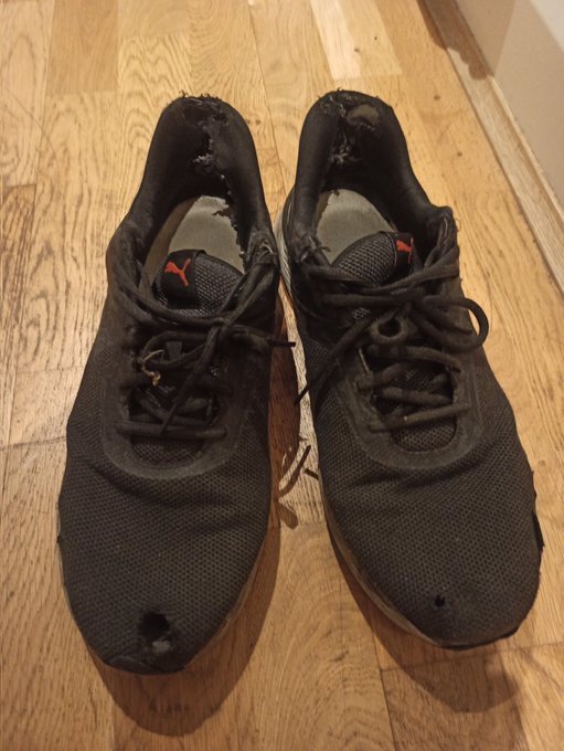 I'm selling super used trainers.  They stepped over so many slaves.  Full of memories. DM! https://t<a href="/tag/master"class="tags"><span>#master</span></a><a href="/tag/alpha"class="tags"><span>#alpha</span></a><a href="/tag/hung"class="tags"><span>#hung</span></a>