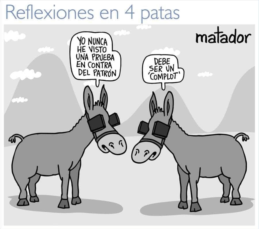 leaote's tweet image. Como siempre @Matador000 es un crack, en una caricatura reflejó el pensamiento de la oposición: burros lavaperros justificando los comportamientos del patrón