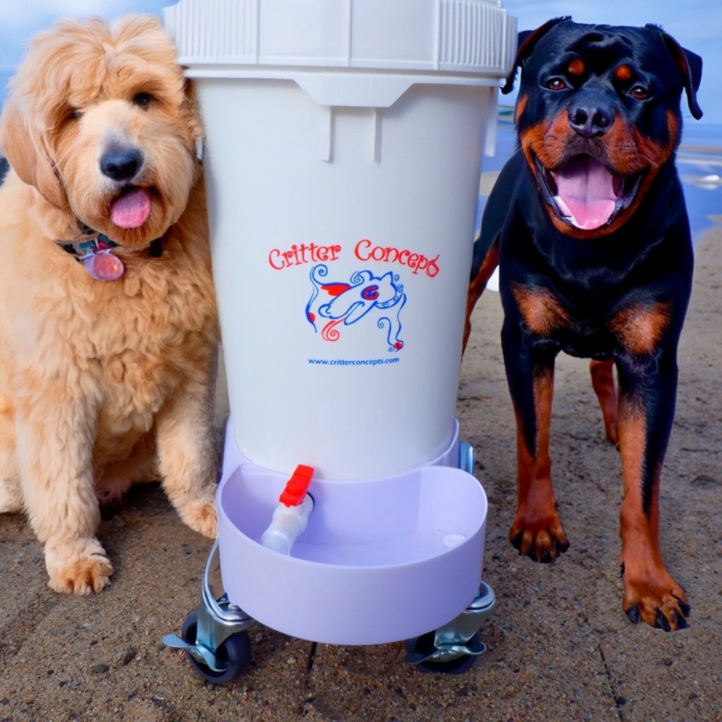 Rottweilers's tweet image. 