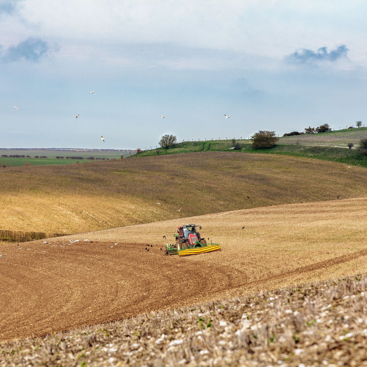 We've been busy these last few weeks getting our spring barley sown. This year we are direct drilling Laureate as our spring crop, as it’s a fantastic variety for both brewing and distilling. Now all we have to do is wait for it to grow! Grown & Brewed - all Wold Top!