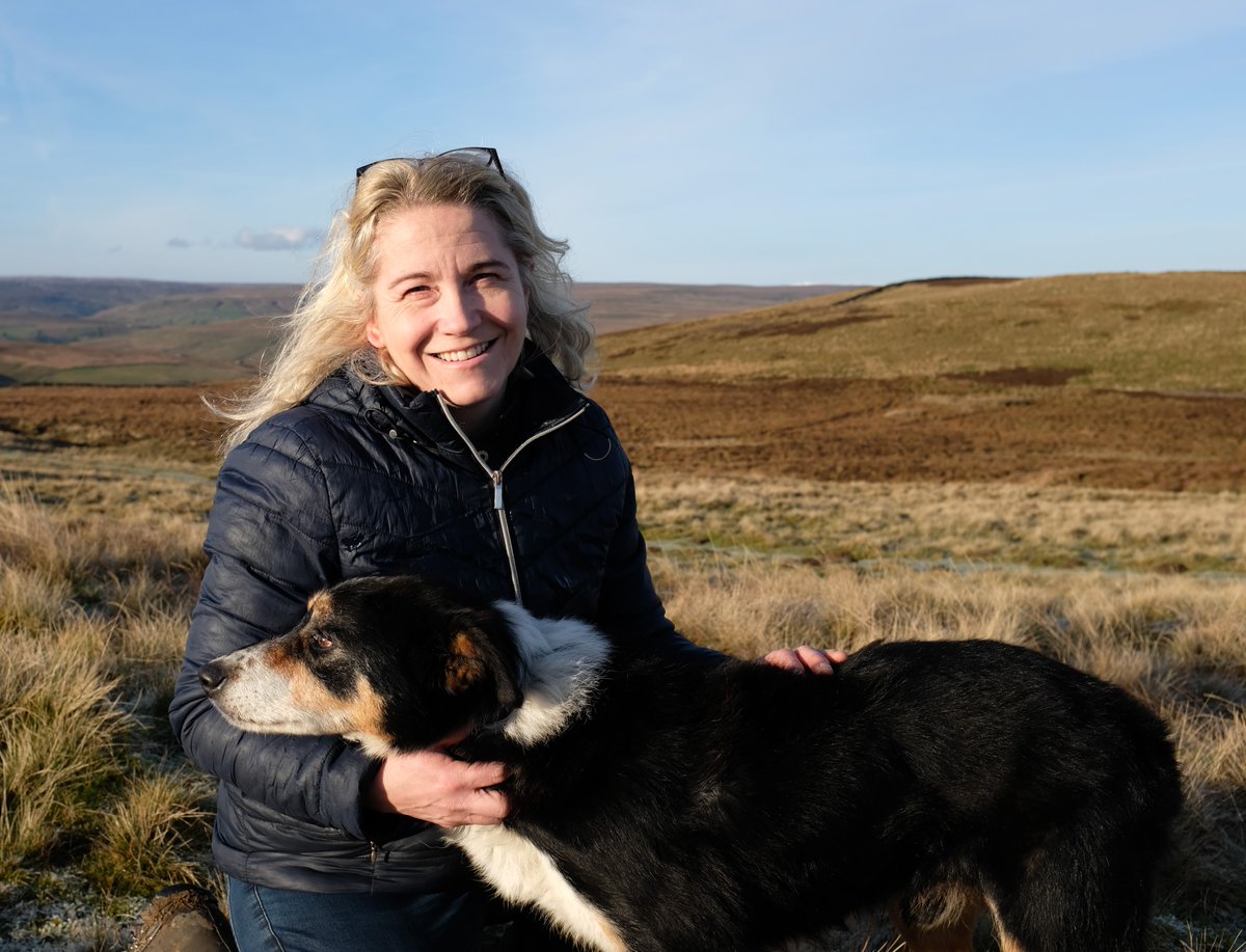 ‘Swaledale Farmer’, Series Three of the @DalesMuseum's Voices From The Dales podcast is available. Episode 2 – ‘Eager To Learn’ (Christine Clarkson part 2). Listen wherever you get your podcasts from or here 👇 dalescountrysidemuseum.org.uk/explore/explor… 📸 Christine with dog Syd