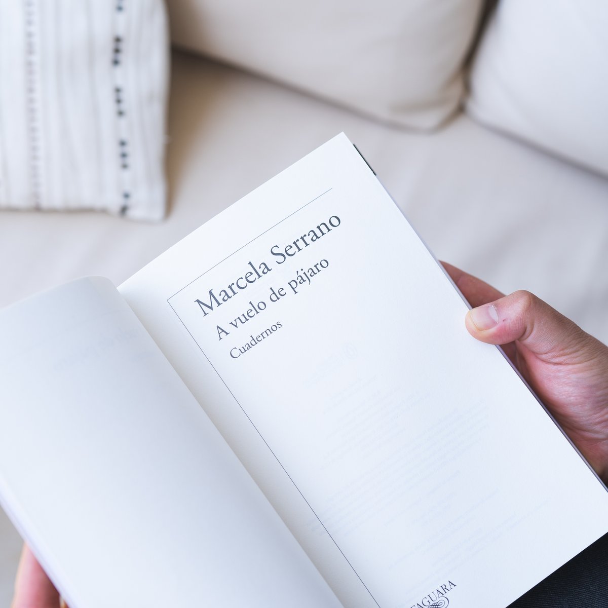 penguinlibroscl's tweet photo. 📖 Llega a librerías el nuevo y esperado trabajo de #MarcelaSerrano “A vuelo de pájaro”, las agudas anotaciones diarias de una escritora chilena que ha cautivado con su mirada a miles de lectores.

▶️ https://t.co/uuUswpCzkb https://t.co/U4LgXEIITi