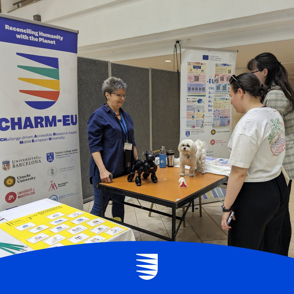charm_eu's tweet photo. 🎯 Challenge-based learning through and interactive game, lively discussions about student opportunities and two unconventional visitors at the CHARM-EU table 🐕 – snapshots from the first Cultural Connection Day at @ELTE_UNI ✨ https://t.co/qLYM0WC81c