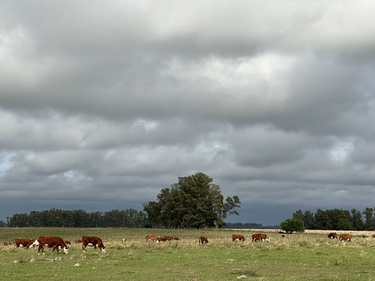 <a href="/EEFAS_Fagro/">EEFAS</a> 
Un día espectacular para ir al campo 
<a href="/FagroUdelar/">Facultad Agronomía</a>