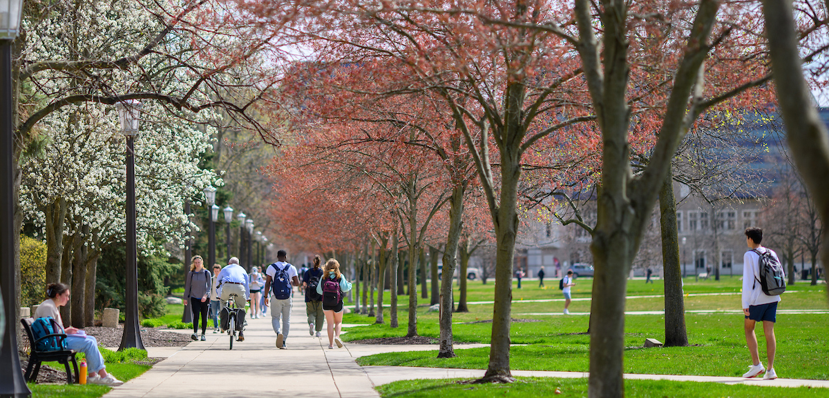 Spring is in the air! 💮 Counting down the days till the tulips bloom 🌷