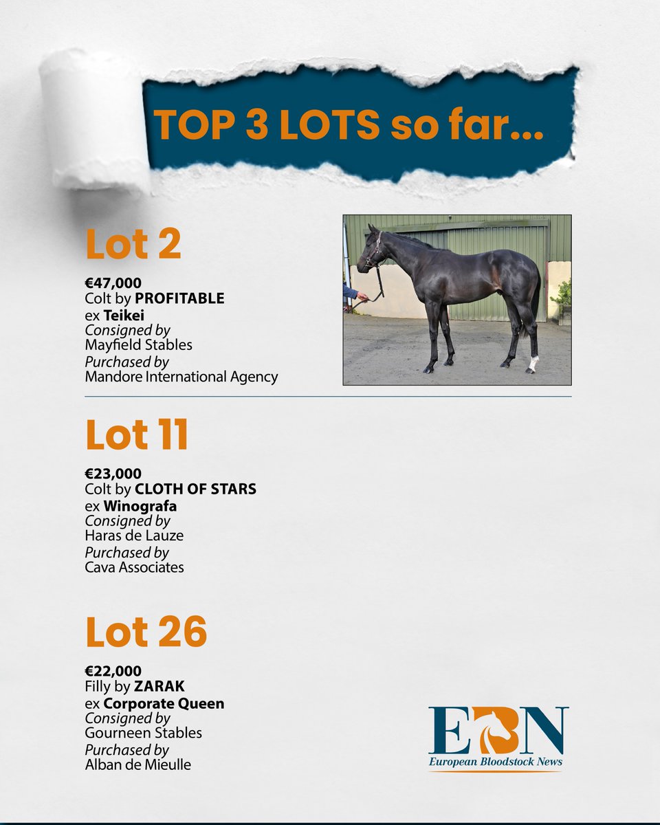 🌟 At 6pm (UK time) the Top Lots at the @OsarusSales La Teste Breeze-Up Sale so far are... 👇 🔶 Lot 2 - colt by PROFITABLE was consigned by @MayfieldStable2 and sold to @MandoreAgency for €47,000. 📰 Full report in tomorrow's EBN #ReadAllAboutIt