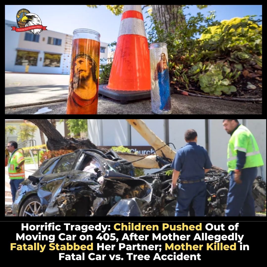 A horrific, unbelievable tragedy. A mother allegedly fatally stabbed her partner in front of her kids, fled the scene with kids in the car, and then pushed the kids out of her moving vehicle. 8-month-old baby died. 9-year has minor injuries and is the only surviving witness as…