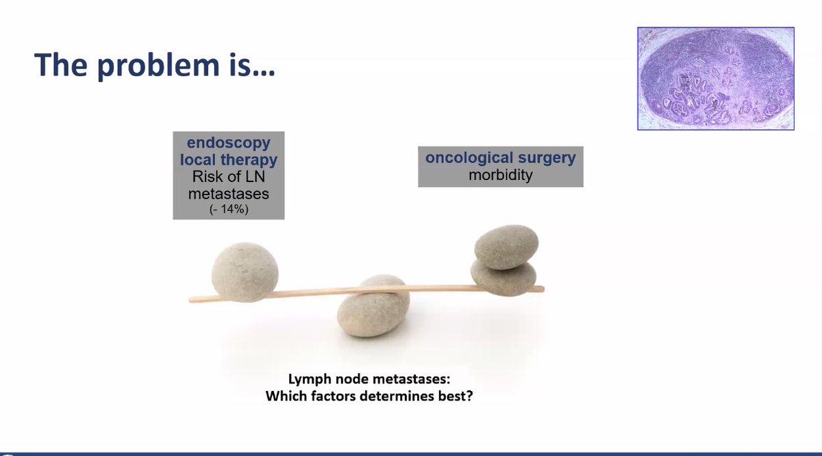 Don’t forget to tune into to the @ESGE_news #Wednesdaywebinar just started now💥 #Endoscopists putting #Surgeons out of work for early T1 cancer…?! Maybe maybe not. Join the discussion.