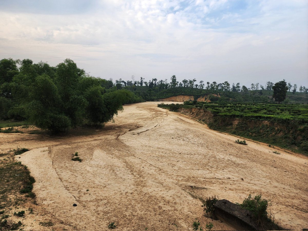 #photography #stream #Bangladesh A dried up stream at a tea garden in the district of Hobiganj, Bangladesh. #scenic beauty.