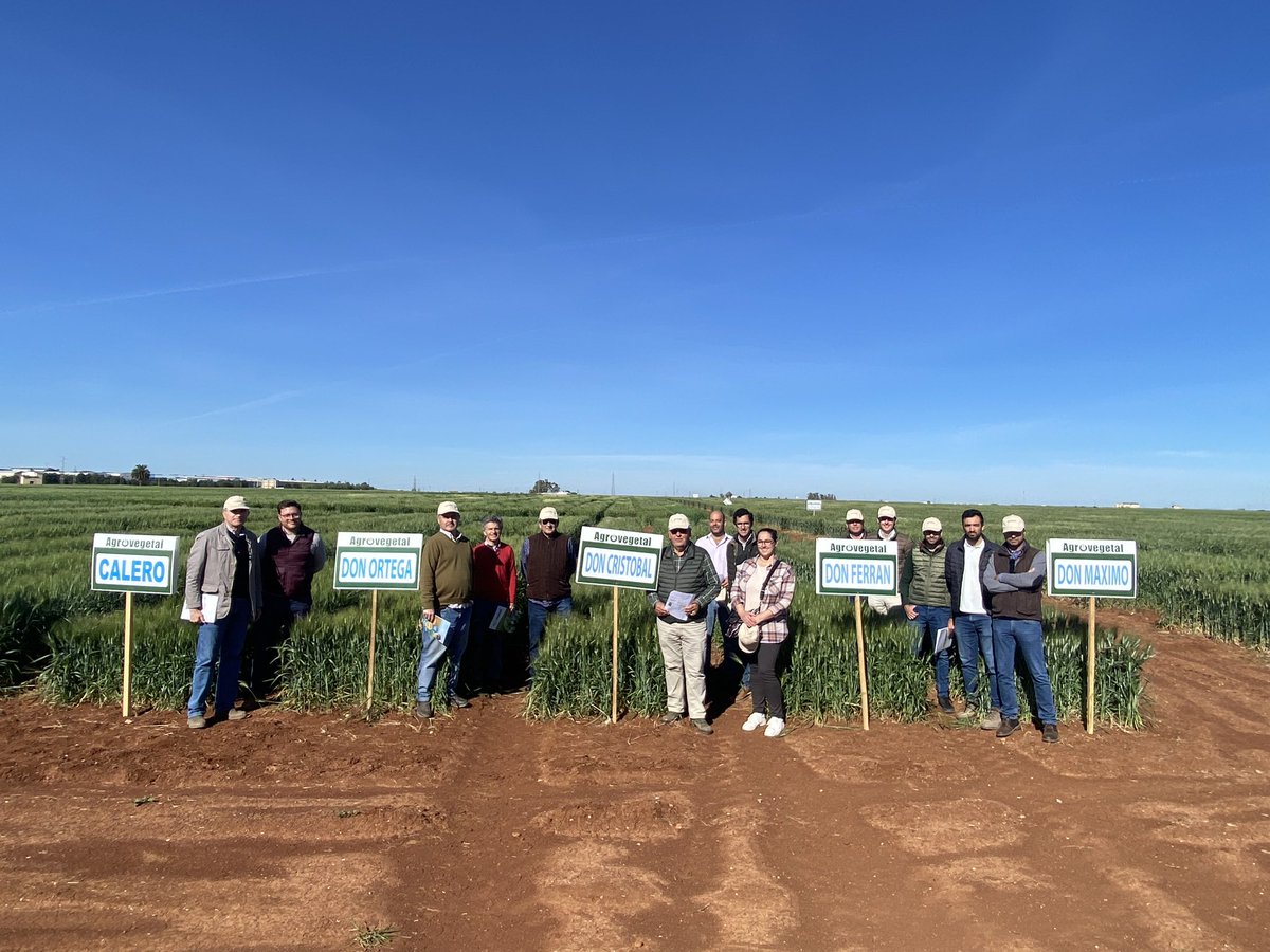 Nuevos visitantes a nuestros ensayos de selección de nuevas variedades de cereales y leguminosas en <a href="/CoesagroEcija/">Coesagro</a>