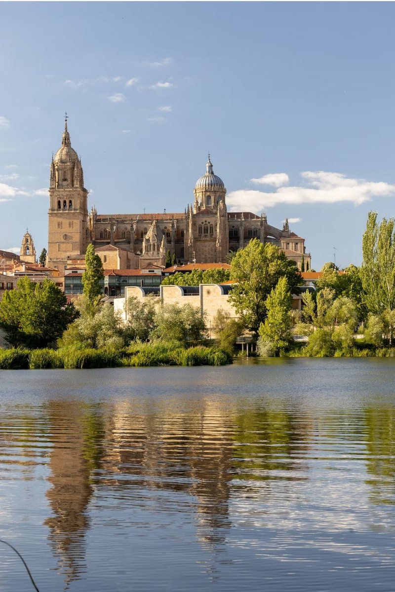 dxmid's tweet photo. @archi_tradition Salamanca. Spain https://t.co/91awcExlKk