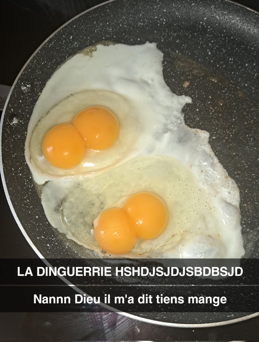 il m'est arrivé une dinguerie ajd j'ai eu DEUX oeufs COUPLES et DEUX FOIS D'AFFILÉE