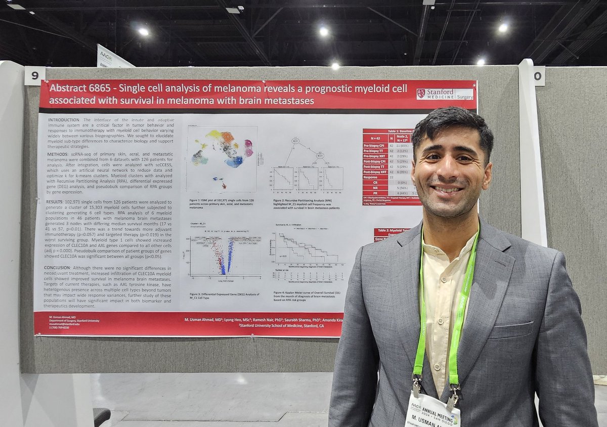 We discovered a novel immune cell type that functions well as a prognostic biomarker in melanoma @StanfordSurgery @StanfordCancer @AACR #AACR24