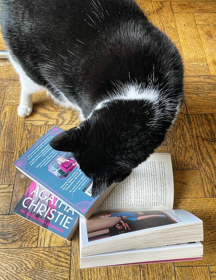 'Huh!' says Kimmy the cat, 'this book about AGATHA CHRISTIE she's always going on about having written turns out to be really rather interesting after all.' amazon.co.uk/Agatha-Christi…