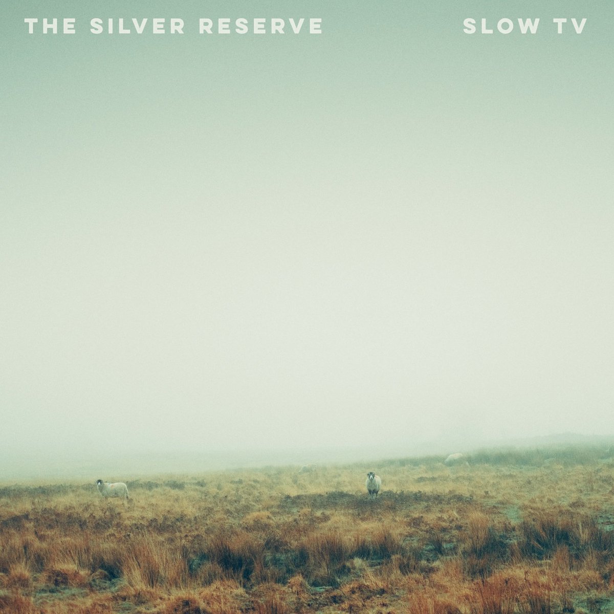 The Silver Reserve tweet media