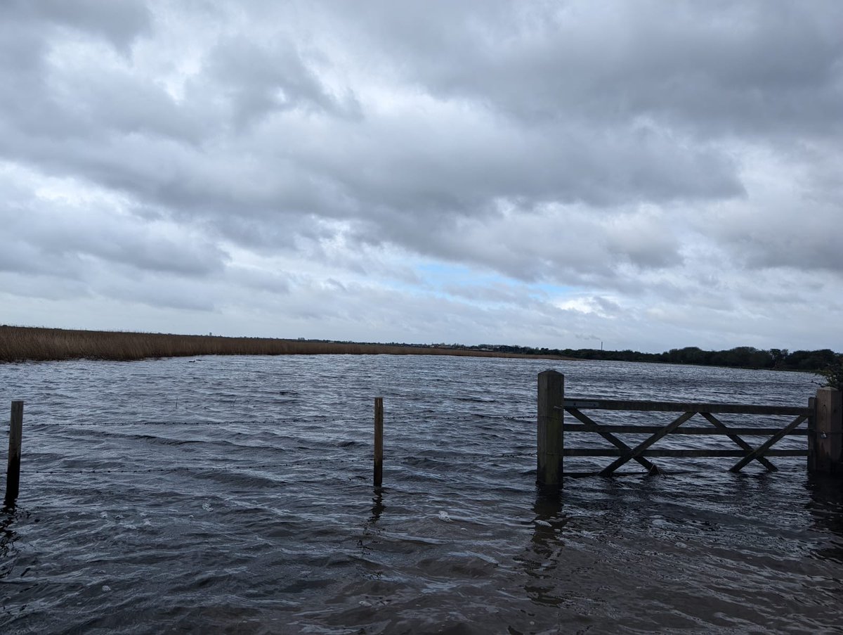 Notice: Farlington Marshes severe weather ❗ Recent severe weather conditions and exceptionally high tides have caused considerable flooding on site and made the permissive trackway impassable. We strongly advise against visiting until conditions improve.