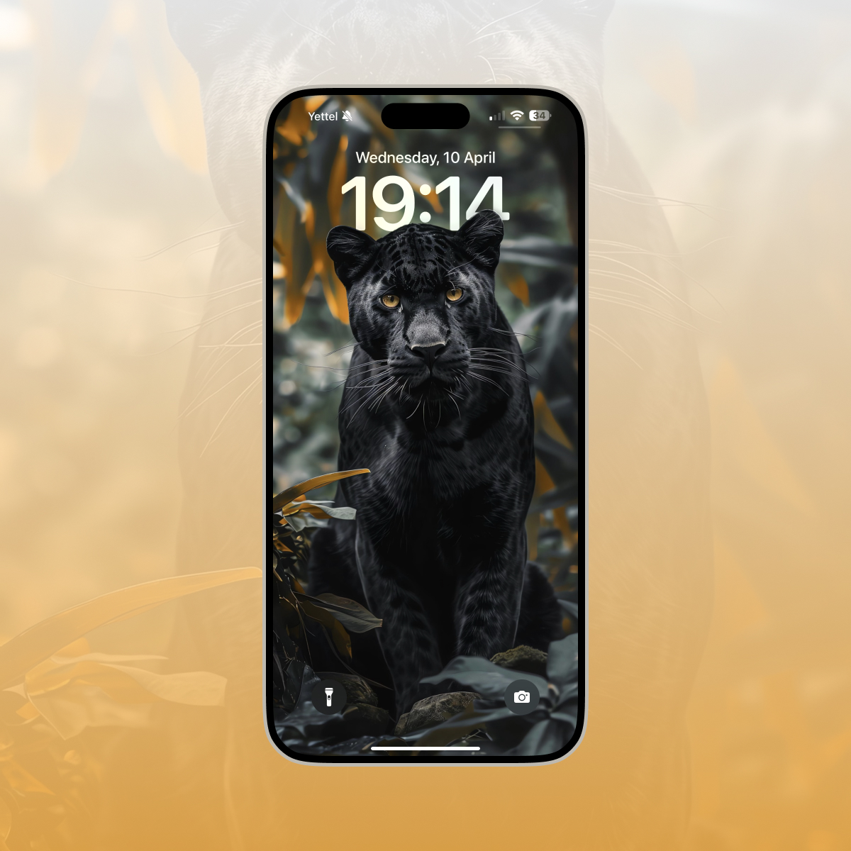 Vuk Andric tweet media