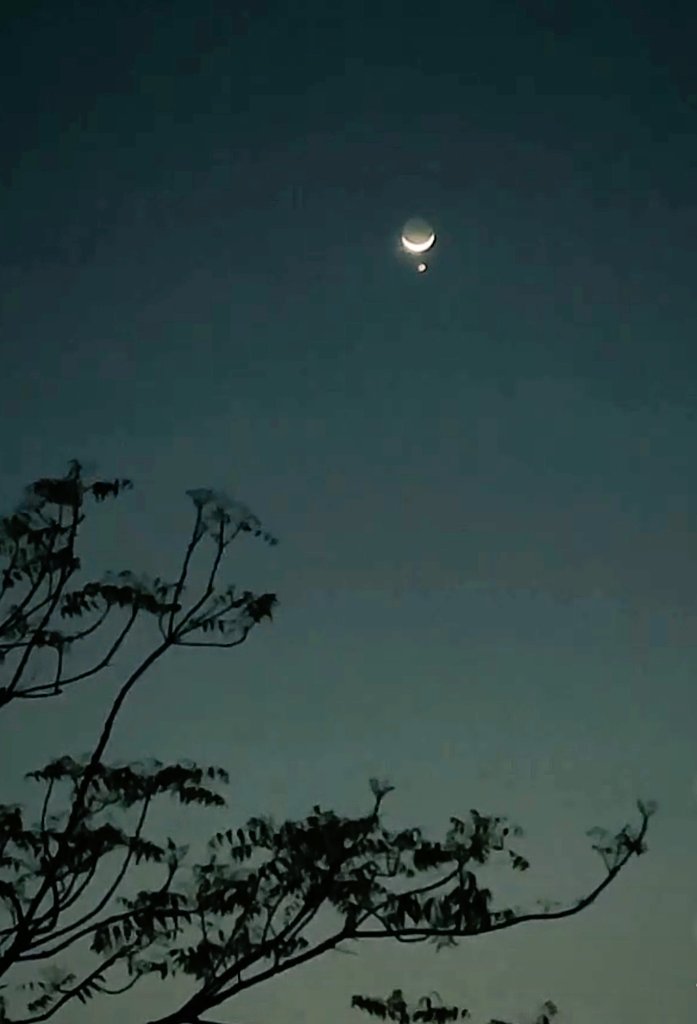 Prernakanani1's tweet photo. चांद के चमकीले उजास में,
मेरी कत्थई आंखों की पलको में,
तुम्हारी एक कोमल याद में,
दिल प्रश्नकुल होकर झनझना रहा है,
फिर भी इस आकाशगंगा में
तुम्हारे ख्वाबों की राह पर,
चल पड़ती हूं..!♥️
~प्रेरणा
#में_और_मेरी_बाते✨
#chand
#words_world https://t.co/JhJPi1hFXz