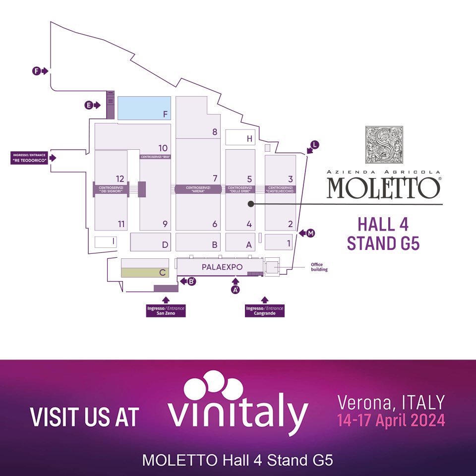 #MOLETTO WINES AT #VINITALY2024
14-17 April 2024
> Hall 4 Stand G5 <

📍#Veronafiere, #Verona, #Italy
Opening hours:
14-15-16 > 09:30 - 18:00
17 > 09:30 - 16:30 
.
#Vinitaly MAP >> shorturl.at/sJKRU
.
#tradefair #winetrade #B2B  #businesstobusiness
#MolettoWinery