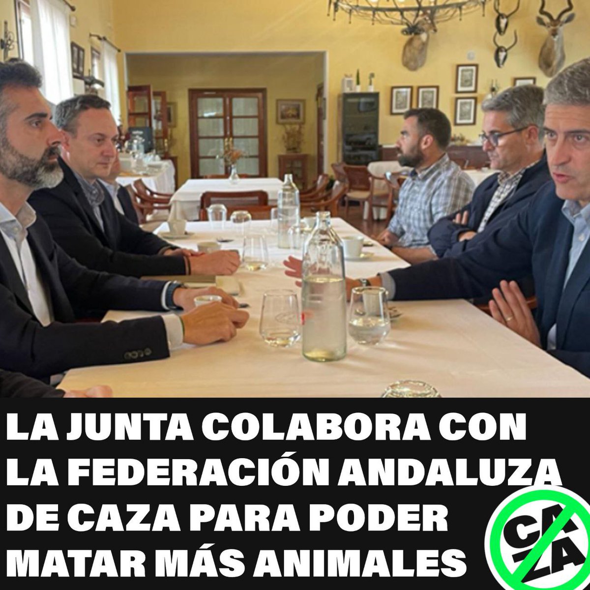 La @AndaluciaJunta y @RamonFPM se han reunido con cazadores para cumplir todos sus caprichos y exigencias. Van a regular para que puedan cazar más depredadores, entre ellos el meloncillo y están luchando porque el silvestrismo pueda practicarse en nuestra comunidad.