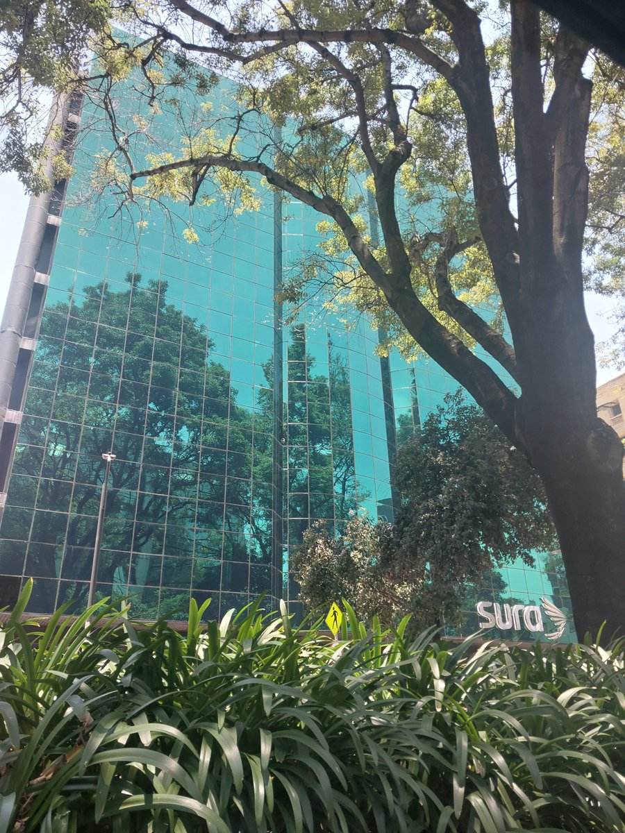 Glass facades in cities like Bogotá are a brilliant idea! With perfect temperatures and abundant trees, imagine the stunning reflection of nature on these buildings.  #Bogota #GreenCity #SustainableArchitecture