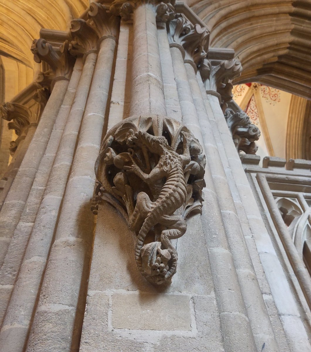 Cathedral dragons