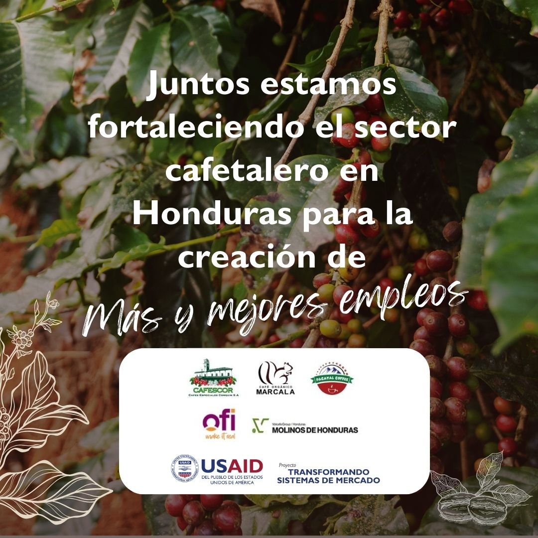 Desde las montañas de #Honduras hasta #Chicago , empresas líderes de café estarán abriendo horizontes y mostrando al mundo la calidad y la excelencia del café hondureño en la @SpecialtyCoffee . #Contemoslealmundo #Cafédeespecialidad. @USAIDHonduras