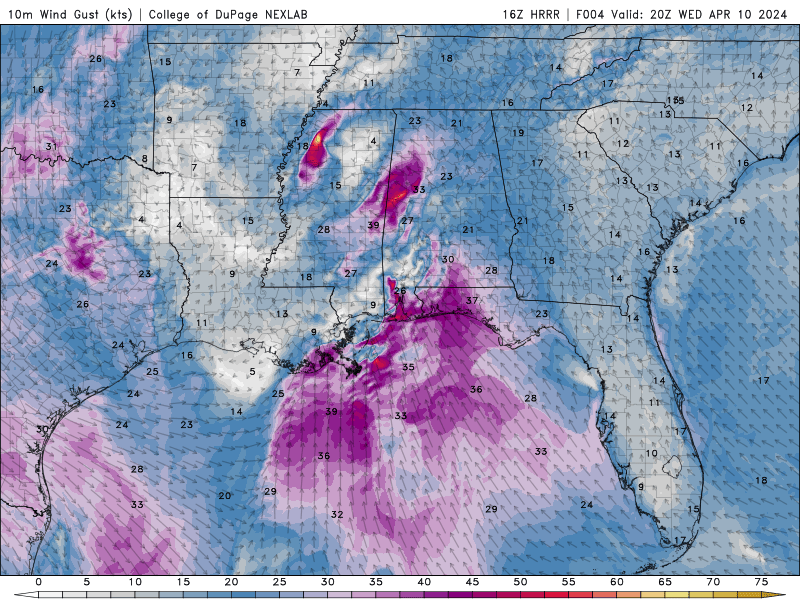 Latest HRRR guidance still showing potential for gusty winds (40+) associated with MCV moving through central MS and/or a possible wake-low immediately behind some of the heavier rain shields later today (between 2-5p). #mswx #alwx