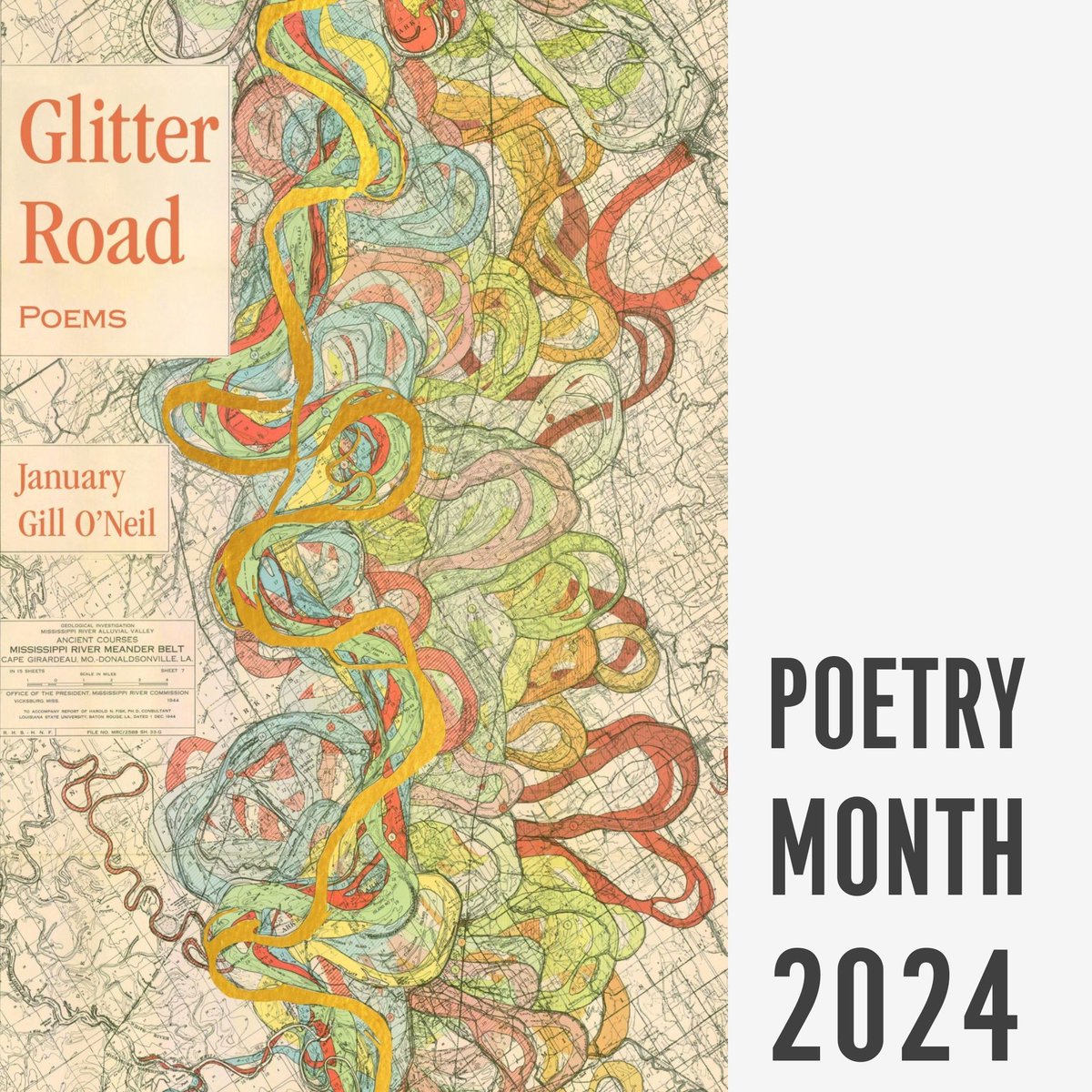 Head over to our blog to read an interview with January Gill O’Neil, whose new collection, GLITTER ROAD, was published by @CavanKerryPress earlier this year. bit.ly/3PXO8ya #NationalPoetryMonth