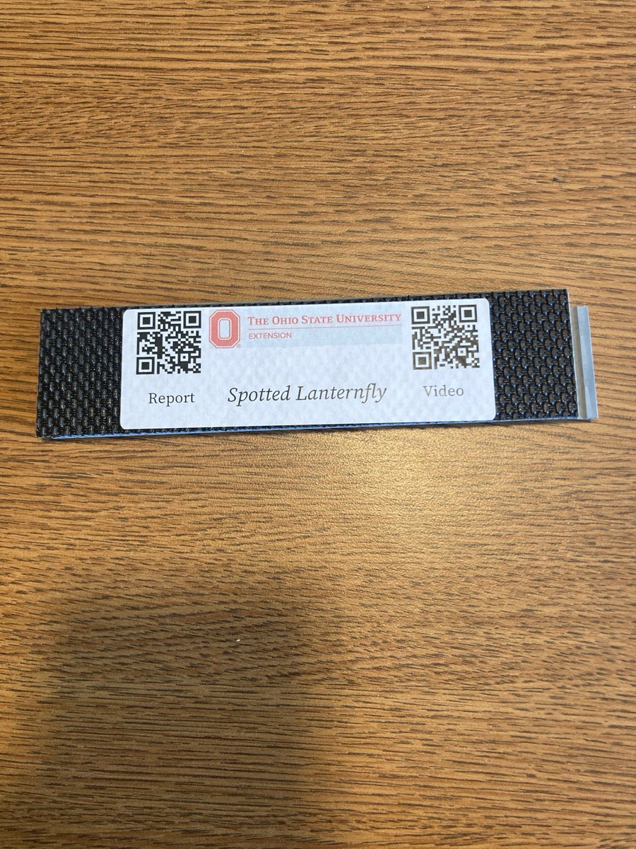 Some Spotted Lanternfly 3D print stages to be used in OSU Extension outreach programming across the state. #SLF #CFAES #ODA