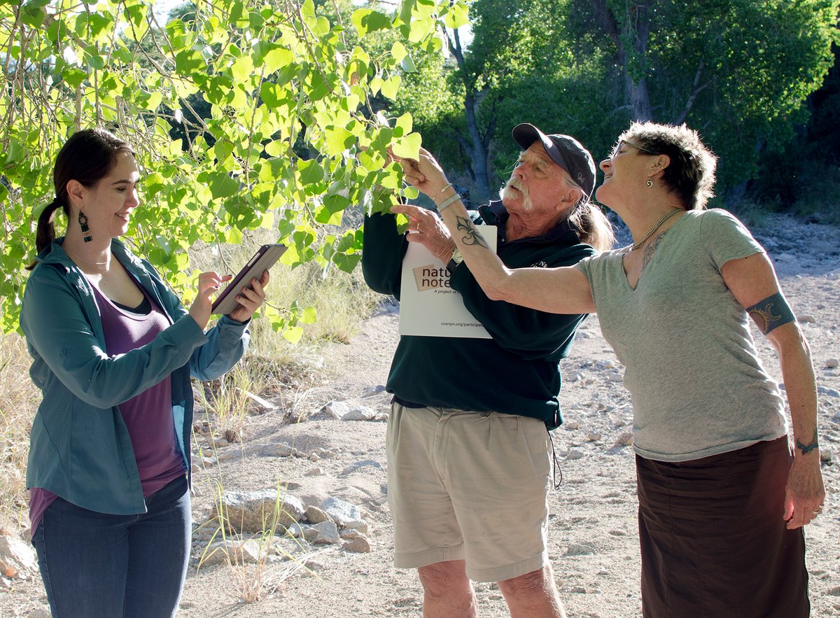 NatureNPS's tweet photo. We ❤️ citizen scientists! 

Without #CitizenScientists those big datasets that parks find so useful would be only a dream. In this #ParkScienceMagazine article, read how important citizen scientists (and their gadgets) are to science in national parks. ➡️ https://t.co/ugVoCuyFyz https://t.co/tQ6LqMh8yQ