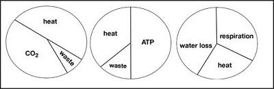 Check out this great FREE access article, 'Repurposing Concept Inventories to Help Students Find Gaps in Explanations,' from the latest issue of TPT. doi.org/10.1119/5.0095… #PhysicTeachers #PhysicsEducation #TPT