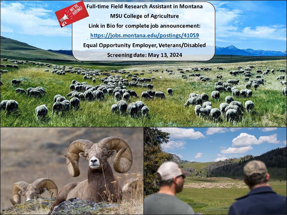 Jared Beaver tweet media