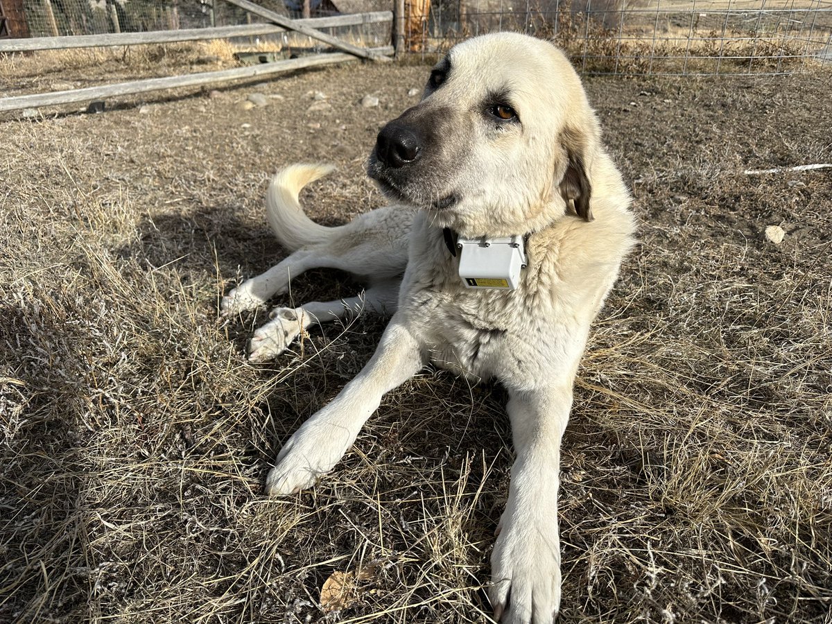 Jared Beaver tweet media